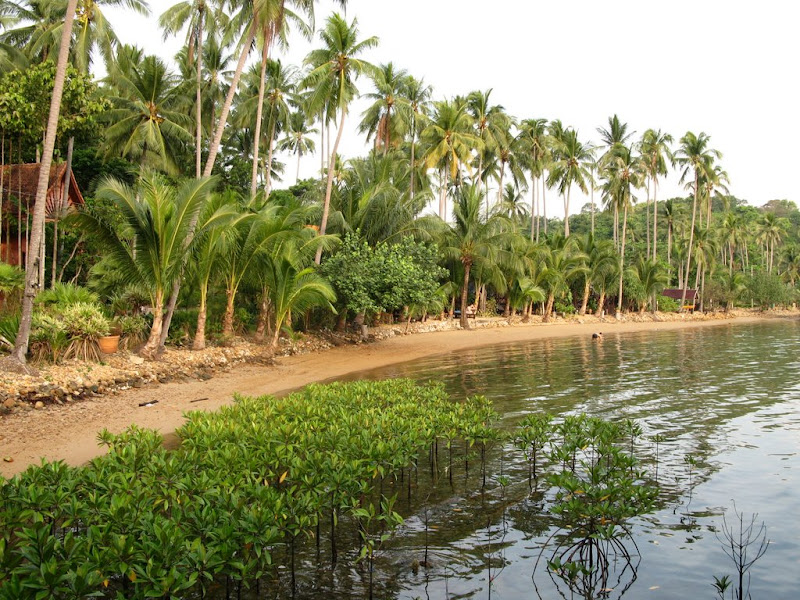 Nirvana Resort - Koh Chang